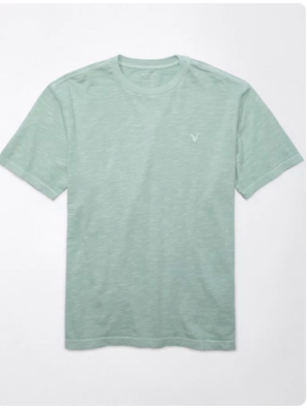 American Eagle Outfitters Lived-In Mint T-Shirt